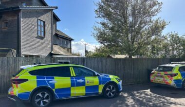 Teenager dies after dog attack in Essex home
