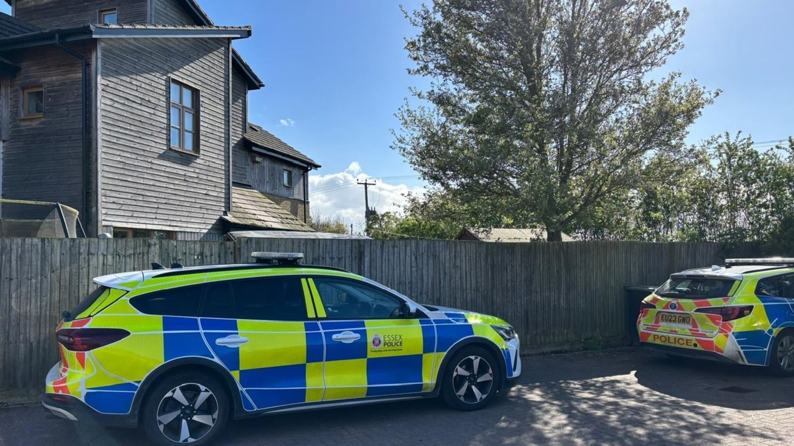 Teenager dies after dog attack in Essex home