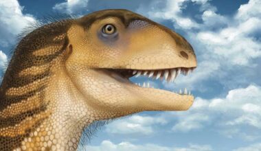 New Triassic Dinosaur Species Identified in New Mexico