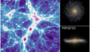 These panels are screenshots from the new COLIBRE simulations. The panel on the left shows the so-called cosmic web, where the colour encodes the projected density of gas and stars. The panels on the right zoom into two simulated galaxies. Image Credit: Schaye et al. (2026) MNRAS