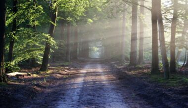 Sacred Spaces and Spiritual Connections