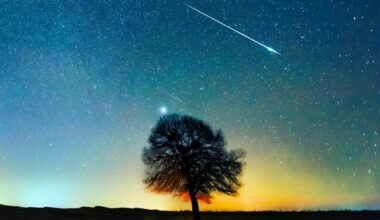 Tips for stargazers hoping to see the annual Lyrid meteor shower - The Independent