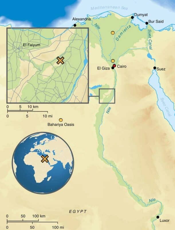 Map Of Egypt Depicting The Location Of The Archaeological Site Abusir El Meleq
