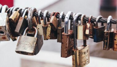 marcos-mayer-8_NI1WTqCGY-unsplash alternate text for this image