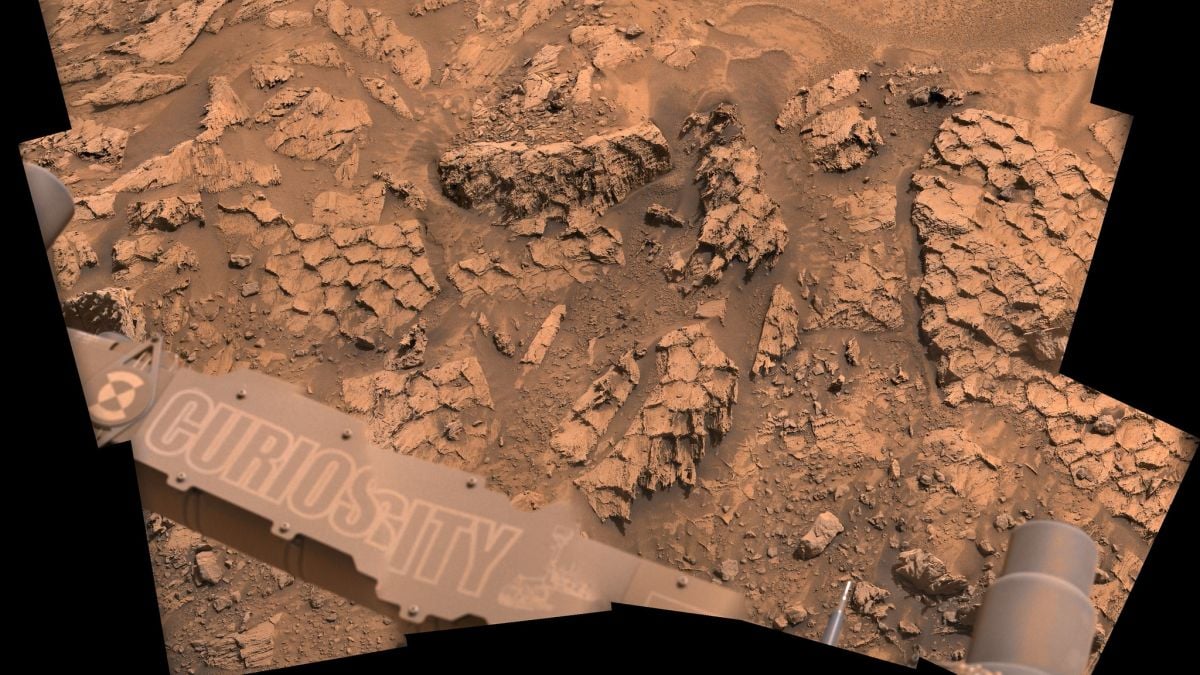 Curiosity Found Strange 'Dragon Scale' Rocks on Mars, And Scientists Are Excited : ScienceAlert