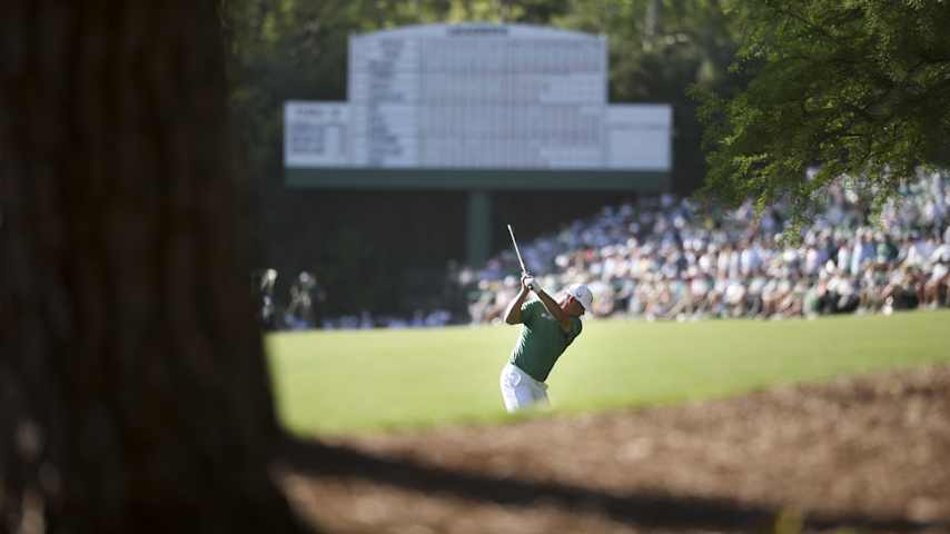 Image for article.