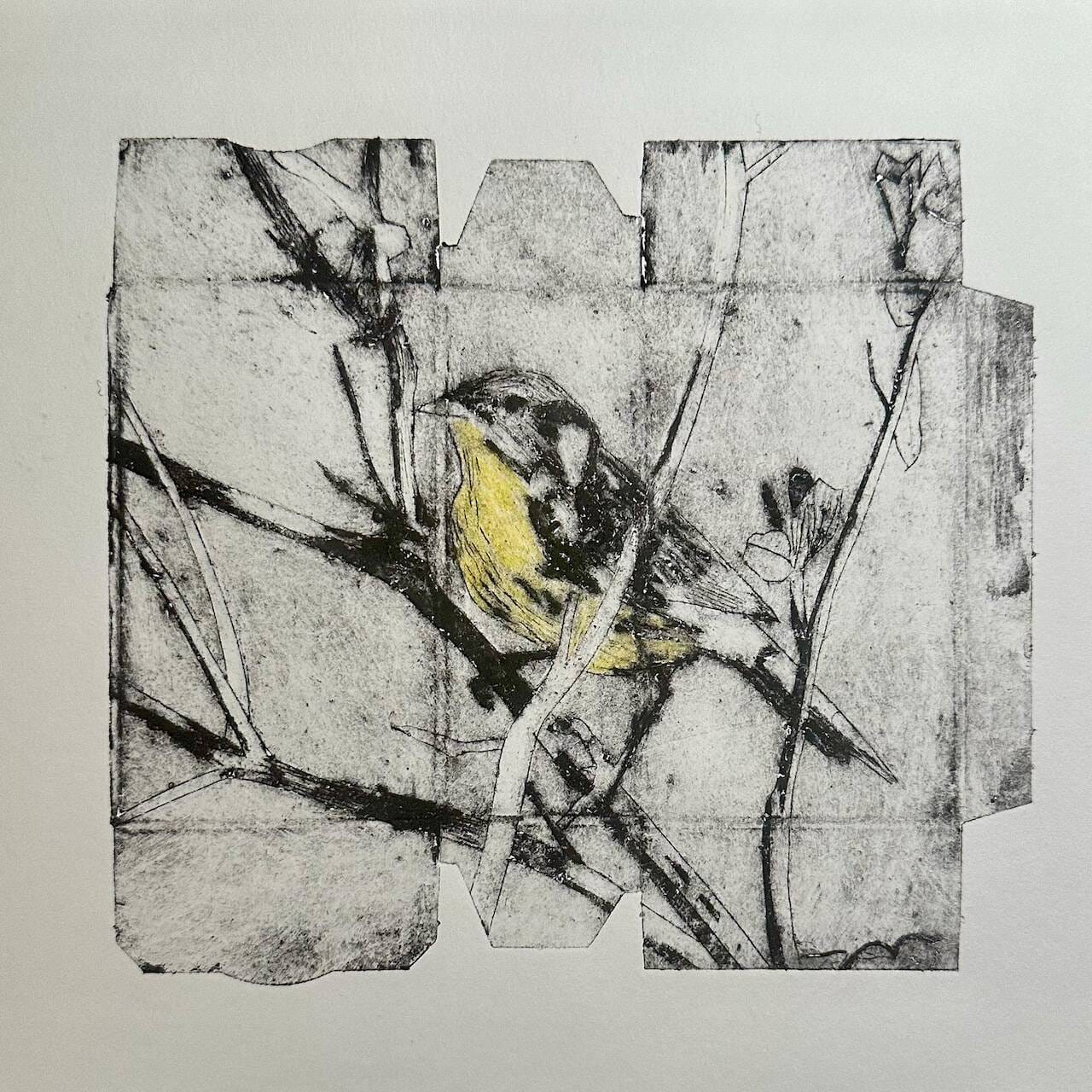 a collagraph print made in the outline of a small, flattened, cardboard carton with imagery of a small songbird on a branch