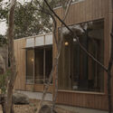 © Tasha Tylee No.23 Residence / Tristan Burfield - Image 5 of 23