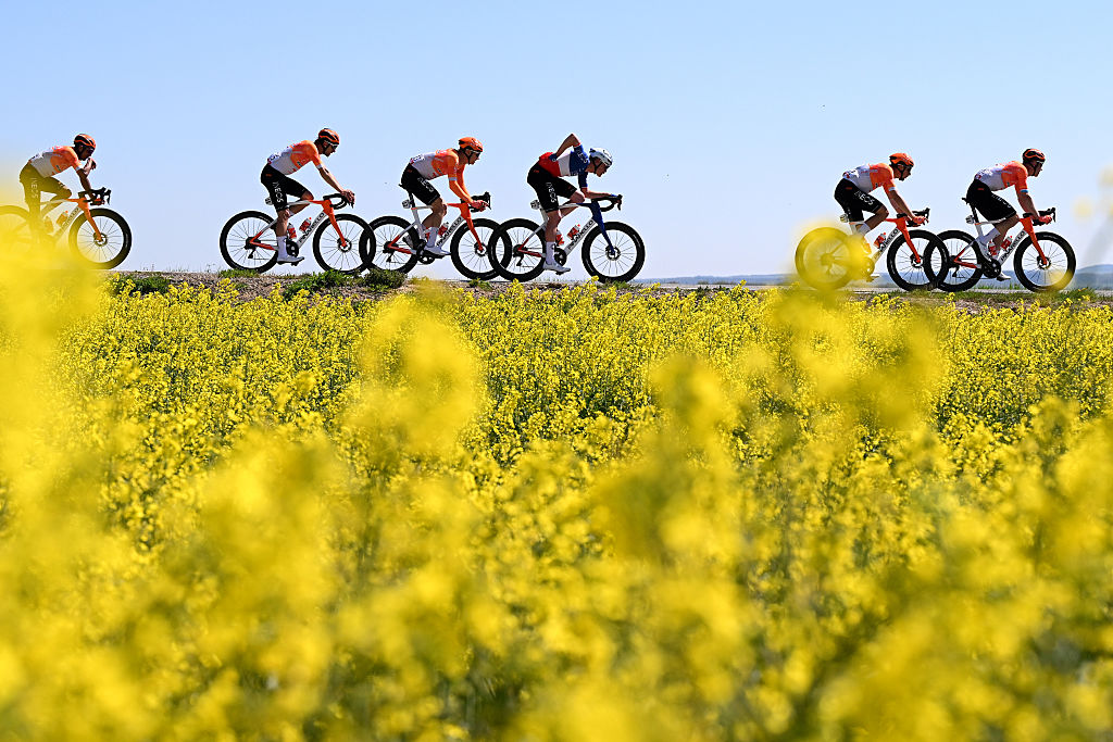 MUR DE HUY, BELGIUM - APRIL 22: (L-R) Axel Laurance of France, Jack Haig of Australia, Dorian Godon of France, Kevin Vauquelin of France, Bob Jungels of Luxembourg and Team INEOS Grenadiers and a general view of the peloton passing through flowery landscape during the 90th La Fleche Wallonne 2026 a 200km one day race from Herstal to Mur de Huy / #UCIWT / on April 22, 2026 in Herstal, Belgium. (Photo by Dario Belingheri/Getty Images)