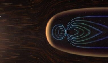 A digital illustration showing Earth’s blue magnetic field lines shielding the planet from solar wind while green vegetation represents oxygen production.
