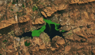 Nasa Satellite Images Expose Strange Green Bloom Taking Over South African Dam