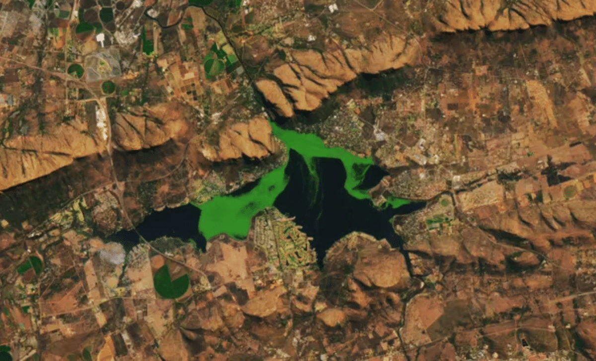Nasa Satellite Images Expose Strange Green Bloom Taking Over South African Dam