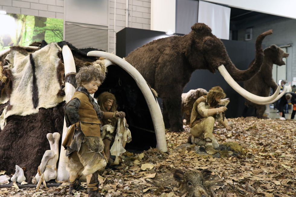 Neanderthals