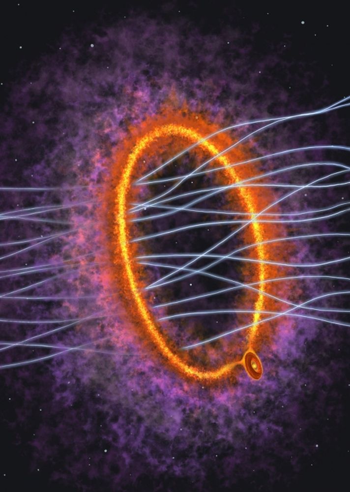 This artist's illustration shows the young protostar MC 27 and its protostellar disk in the lower right. The large, 1,000 au ring of gas is shown, along with magnetic field lines penetrating the ring. Image Credit: Y. Nakamura, K. Tokuda et al. 2026. ApJL