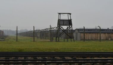 When Music Was Used to Deceive, Control, Survive