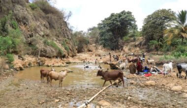 Drought Displaces Nearly 62,000 in Somalia as Climate Shocks Intensify