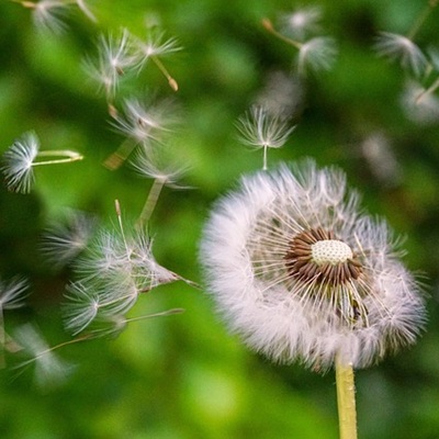 Private Credit headwinds move onshore