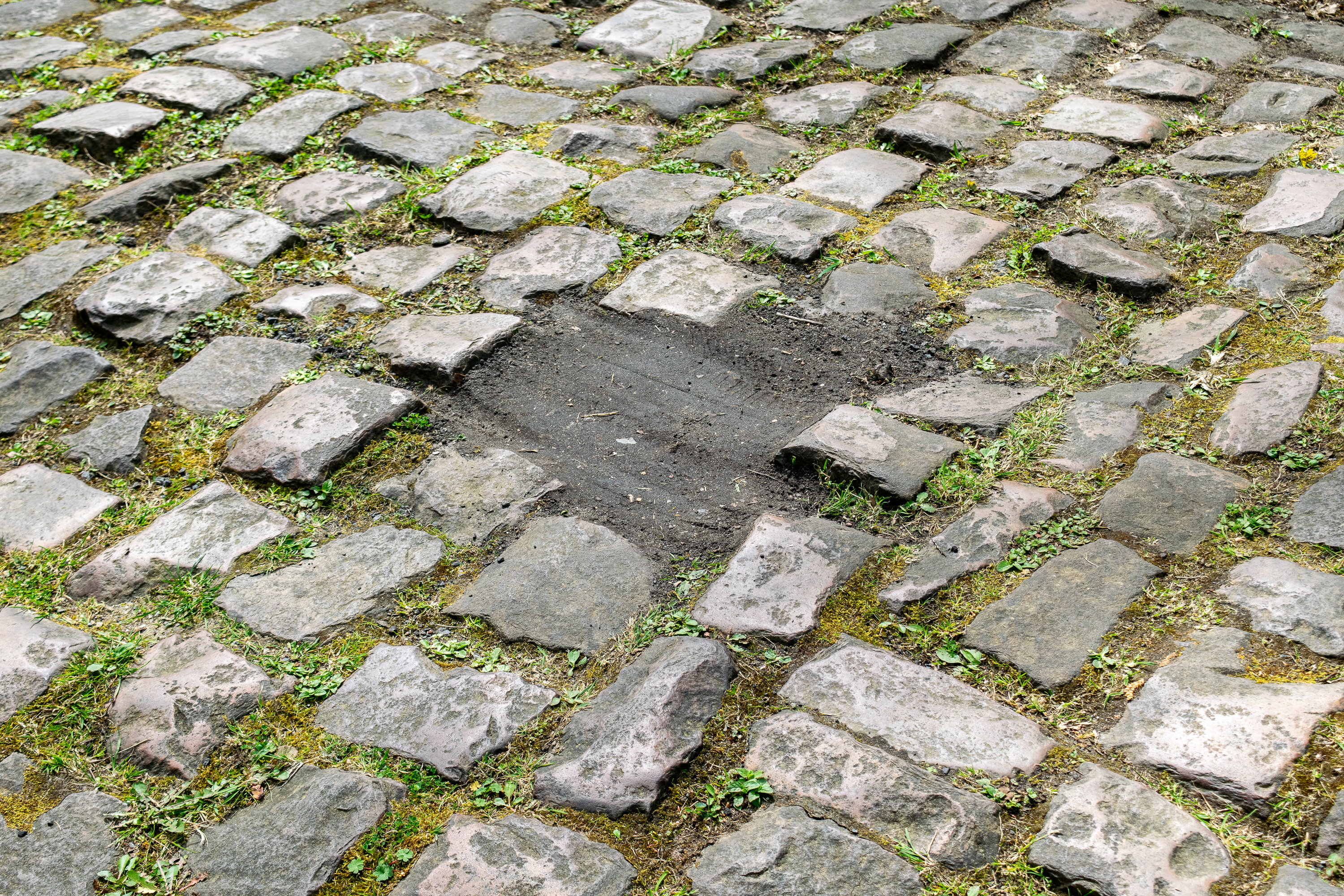 A section of the Arenberg trench that has been repaired due to a missing cobblestone