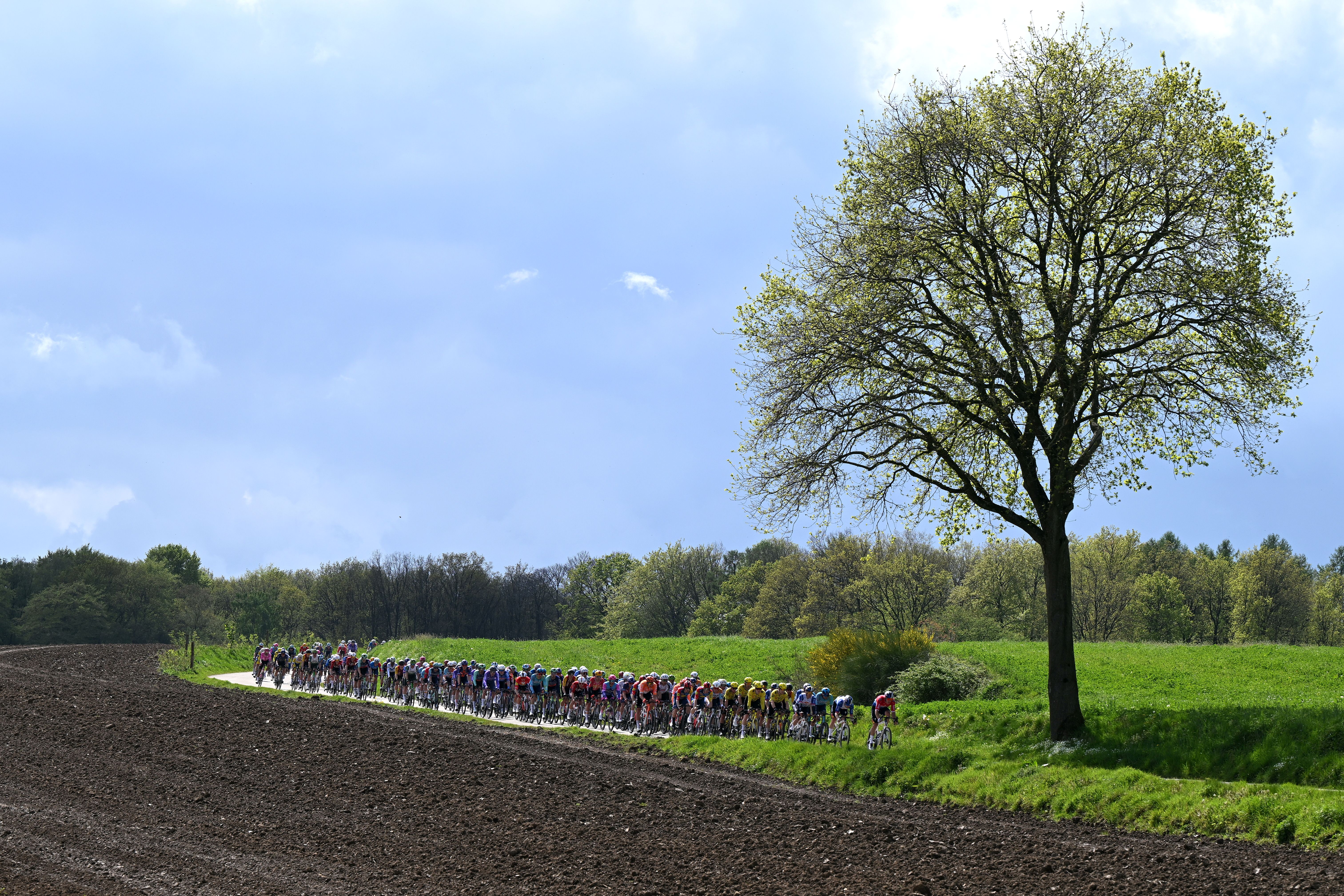 VALKENBURG, NETHERLANDS - APRIL 19: A general view of the peloton competing during the 60th Amstel Gold Race 2026 - Men's Elite a 257.2km one day race from Maastricht to Valkenburg / #UCIWT / on April 19, 2026 in Valkenburg, Netherlands. (Photo by Dario Belingheri/Getty Images)