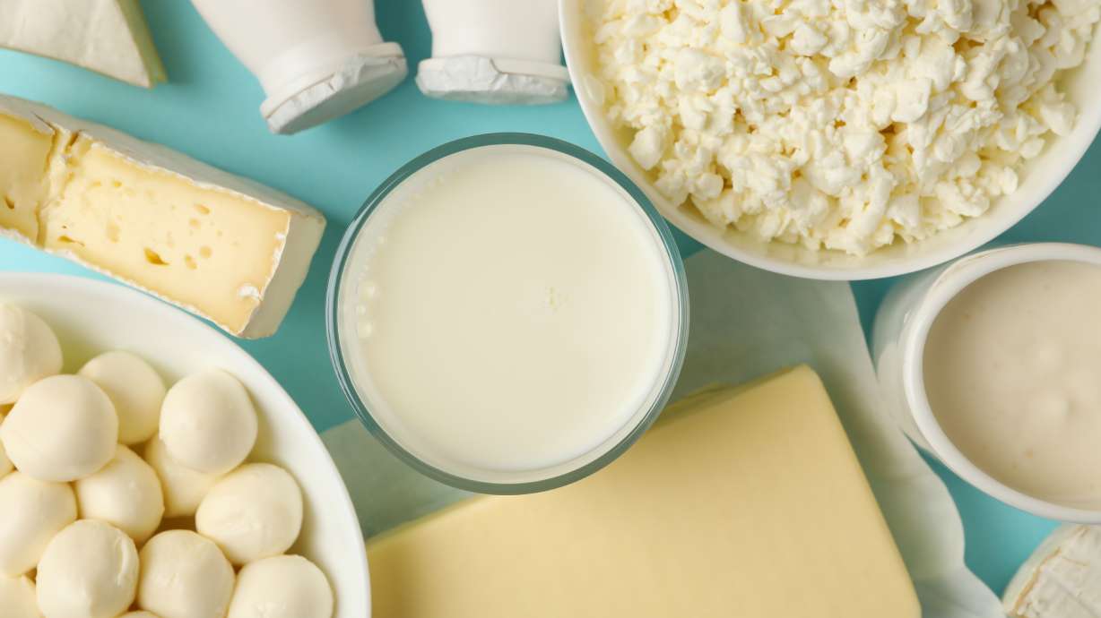 The protein-plus advantage: Why dairy foods are a smart, nutrient-rich choice