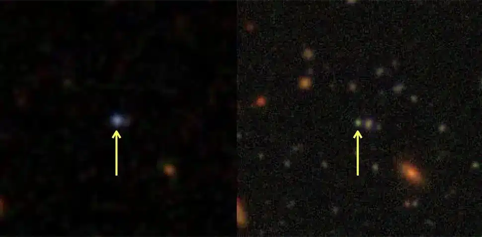 Rmz8zri2dwyfdeecpspx2y 970 80.jpg