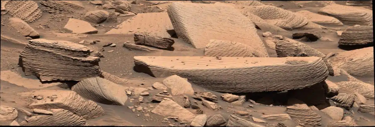 Serendipitous Discover