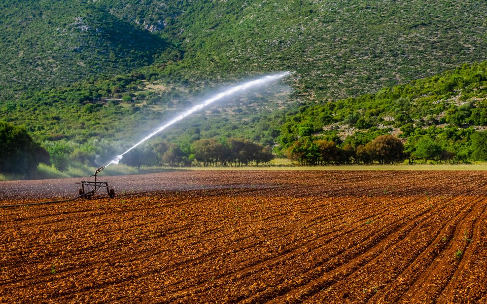 A nation of small plots, shrinking returns