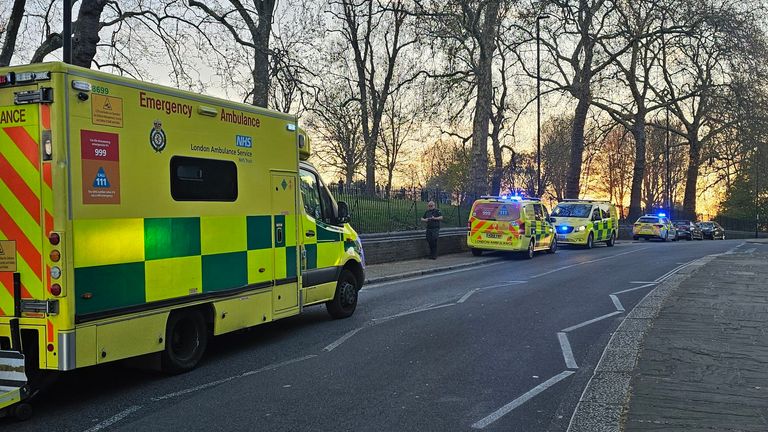 Paramedics attending the popular park. Pic: @PrimroseWatch/X