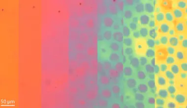 Stanford scientists create shape-shifting material that changes color and texture like an octopus