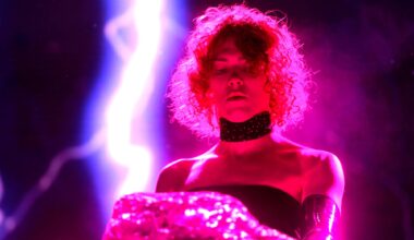 Fan project to preserve and document career of SOPHIE