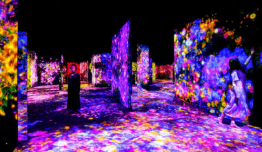 teamLab explores 'borderless continuity' in evolving worlds of perception