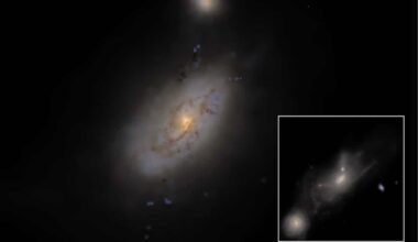 The L200m6 simulation zooms from the large-scale cosmic web down to individual galaxy structure, with gas temperature mapped across scales and stellar light rendered in Euclid colours accounting for dust.