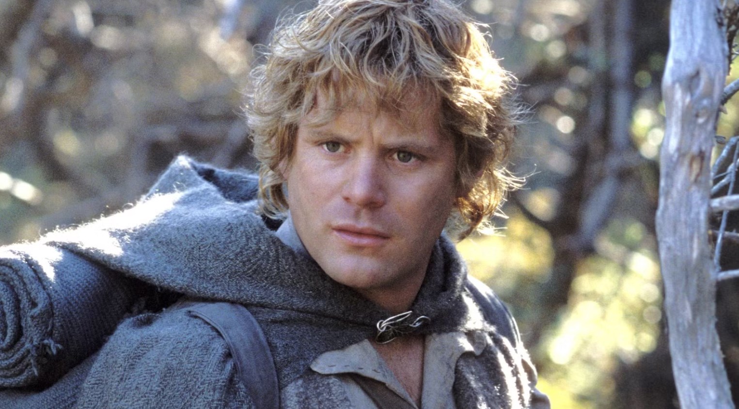 The Lord Of The Rings: Shadow Of The Past