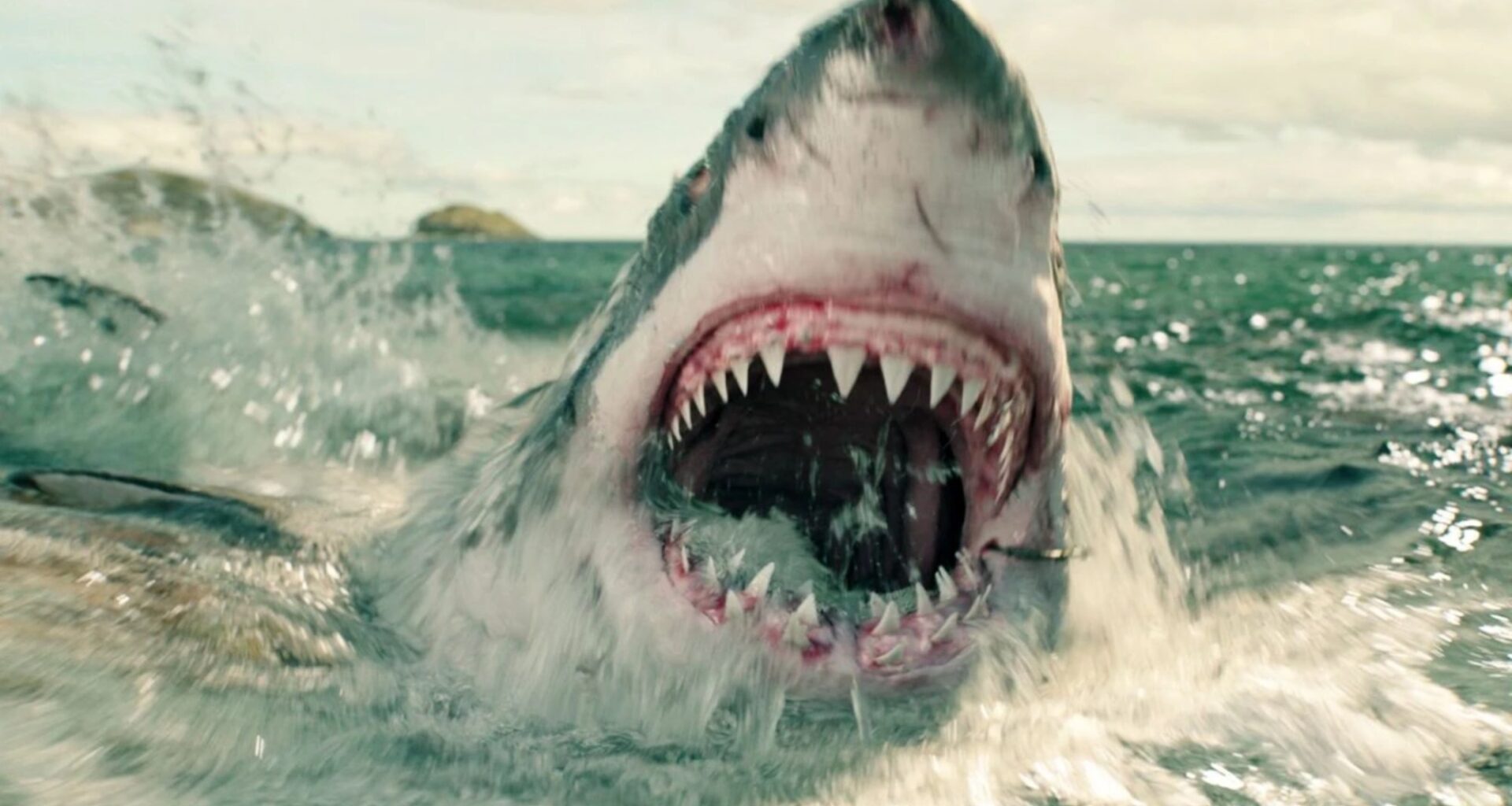 The Best Shark Movie of the Last Decade is Now on Prime Video
