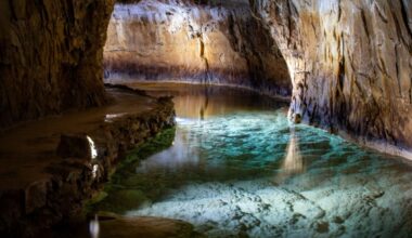 They Went Snorkeling In A Cave, And Found The Floor Covered In Ancient Bones