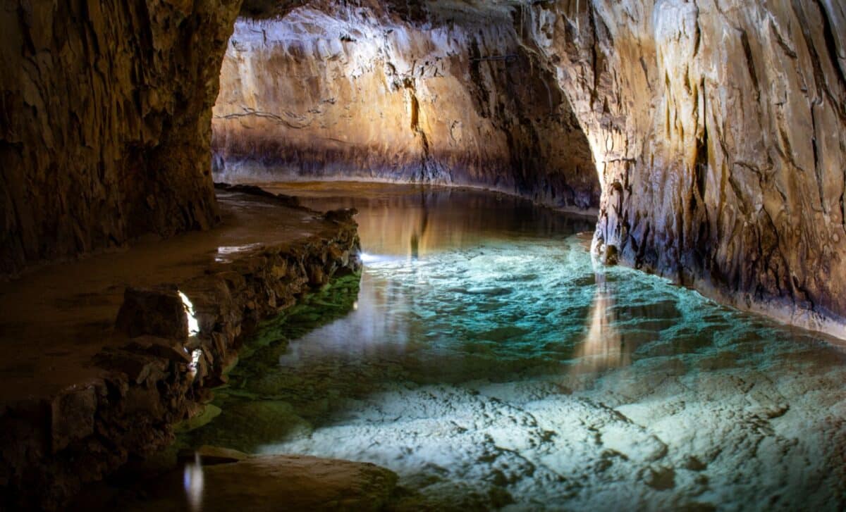 They Went Snorkeling In A Cave, And Found The Floor Covered In Ancient Bones