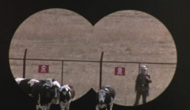 Paramount+ Just Added an Underrated ‘80s Comedy Classic (& It’s One of the Funniest Movie Ever Made)