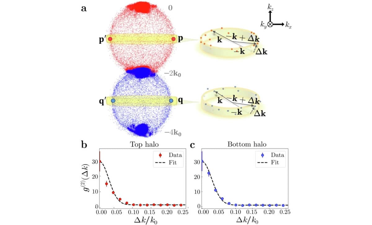 Two Particle Momentum Correlations In Scattering Halos