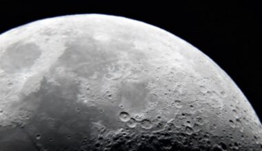 Moscow wants to establish ‘sovereign Russian territories’ on the Moon - TVP World