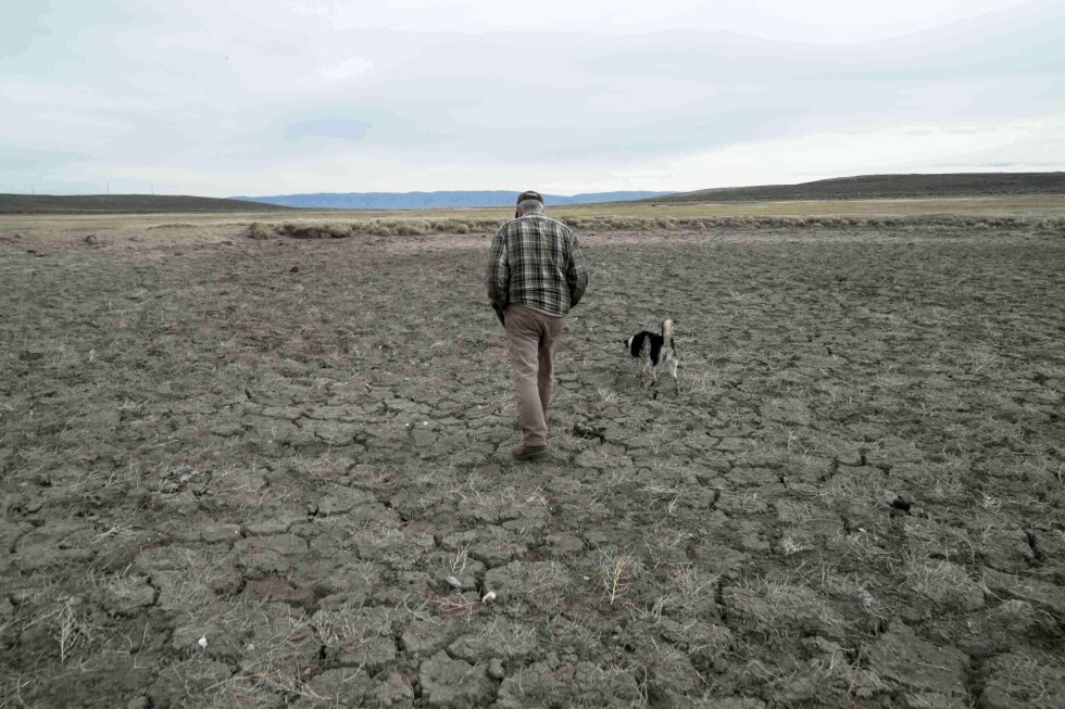 Record drought hits US, which is bad for food prices, fires and water