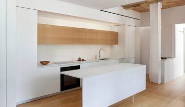 Vladimir Radutny highlights "poetic relics" in Chicago loft renovation