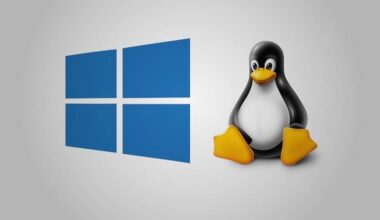 WSL9x hacks Linux into ancient Windows 9x systems • The Register