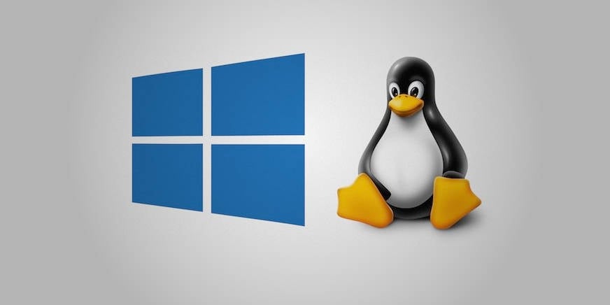 WSL9x hacks Linux into ancient Windows 9x systems • The Register