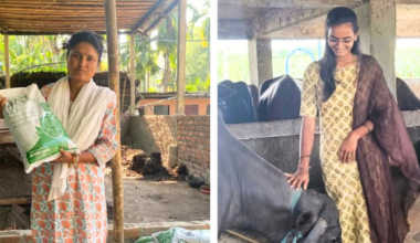 5 Rural Women Entrepreneurs Building Profitable Businesses