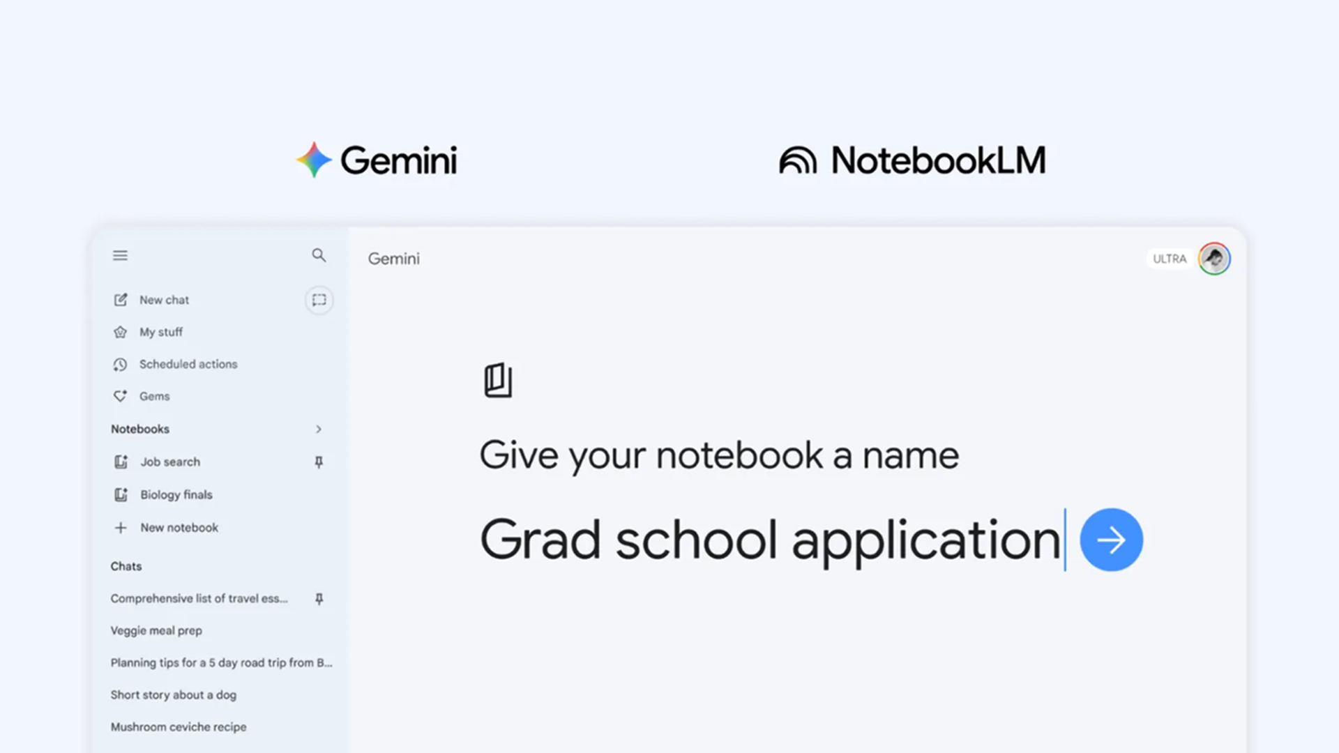 Gemini notebooks