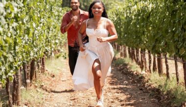 A Sunny but Tepid Romantic Comedy
