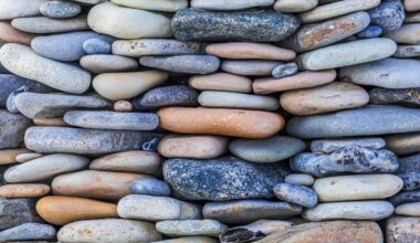 The Economics of Trust | Psychology Today United Kingdom