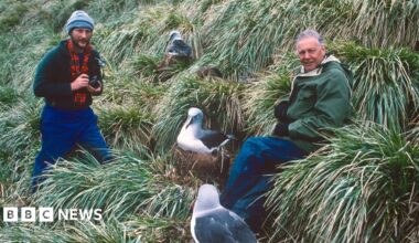 Ben Osborne and Sir David Attenborough sit among long grass on a remote, windswept island, surrounded by several large seabirds nesting nearby, while Ben holds a camera.