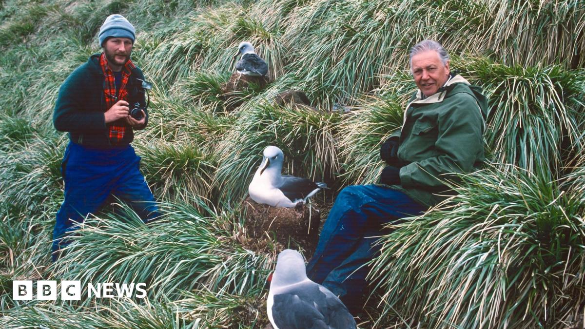 Ben Osborne and Sir David Attenborough sit among long grass on a remote, windswept island, surrounded by several large seabirds nesting nearby, while Ben holds a camera.