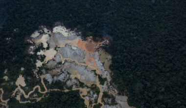 Global Demand for Rare Earth Minerals Is Intensifying Criminal Threats in the Amazon Rainforest